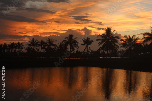 Fototapeta Naklejka Na Ścianę i Meble -  This a images silhouettes of coconut trees in a beautiful sunset