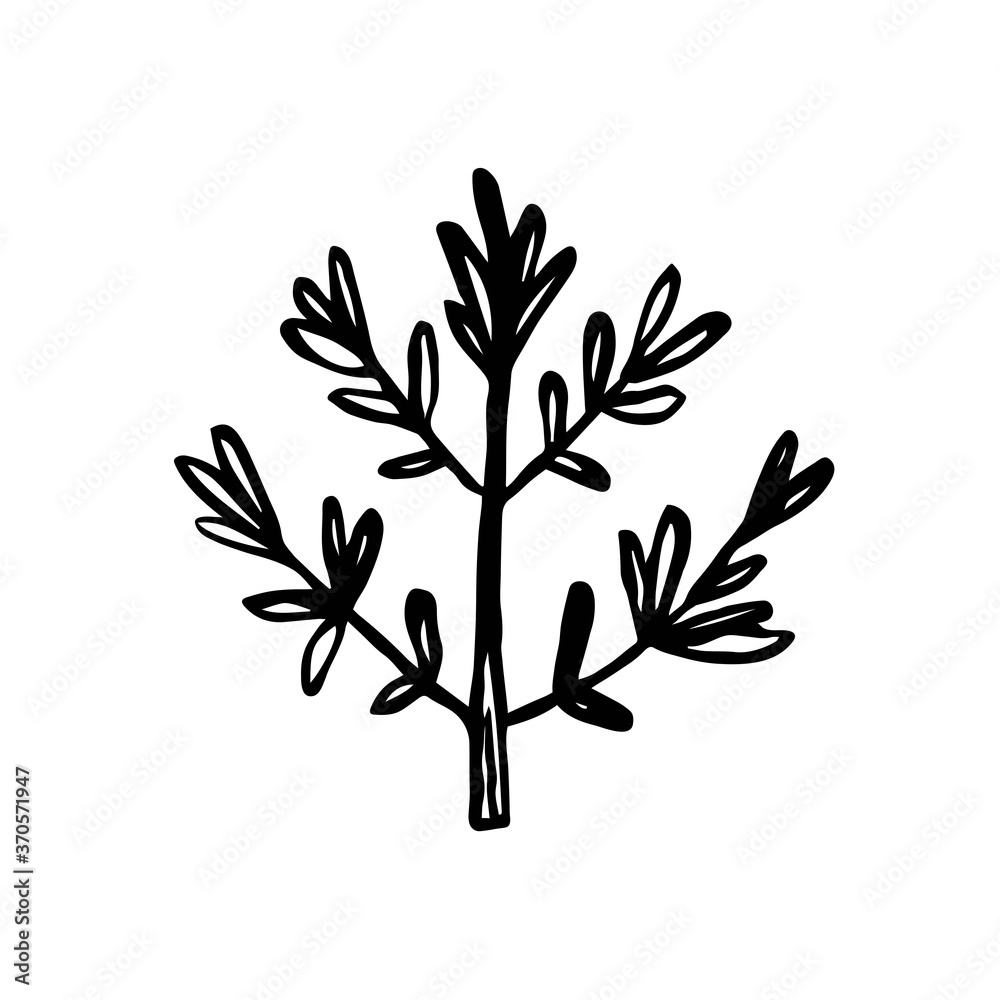 Herbs. Ink plant. Black color. Vector illustration isolated on white background. Little leaf, branch. Magic, medical ingredient, stuff.