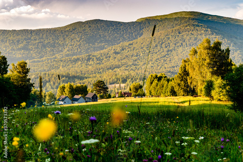 Fototapeta Naklejka Na Ścianę i Meble -  Bieszczady latem