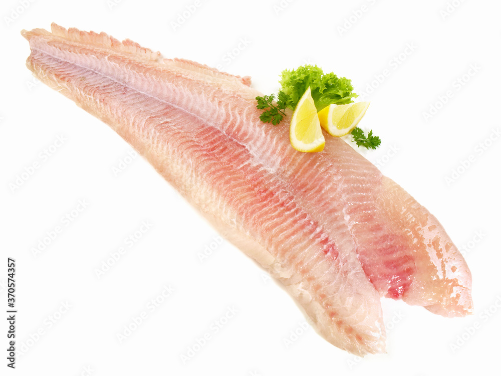 Catfish Fish Fillet on white Background - Isolated Catfish Fish Fillet on white Background - Isolated
