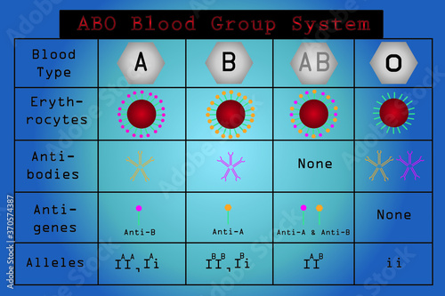 ABO blood group system and allele of ABO blood group. classification of blood group.