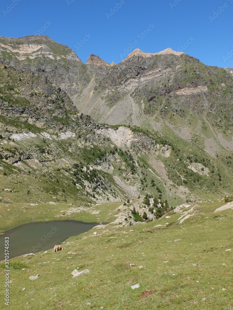 lac de montagne des Pyrénées Orientales dans la région Languedoc du pays catalan