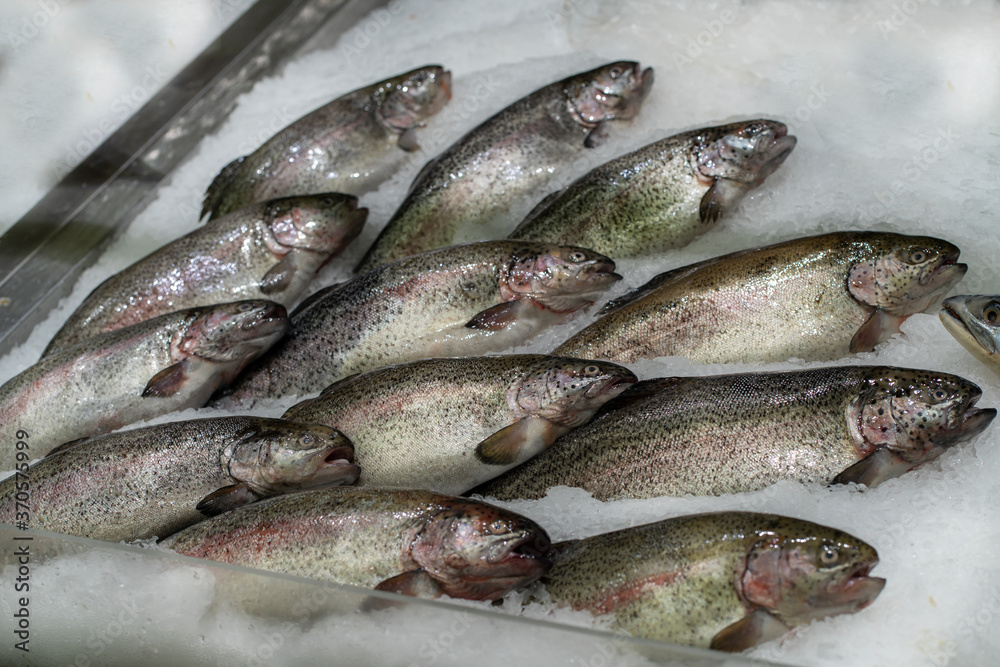 fresh fish on ice in the store, depicting a school of fish fresh fish on ice in the store, depicting a school of fish