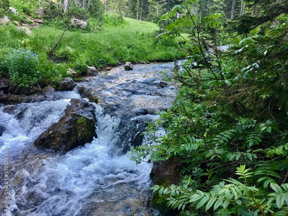 Obraz premium Mountain river rushing through the forest