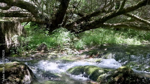 Cascading Stream at Sorgente Su Gologone, Sardinia, Italy (4K) photo