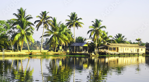 Houseboats in Kerala Backwaters