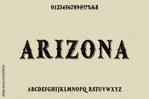 vintage font, classic lettering, typeface vector design, gray style background