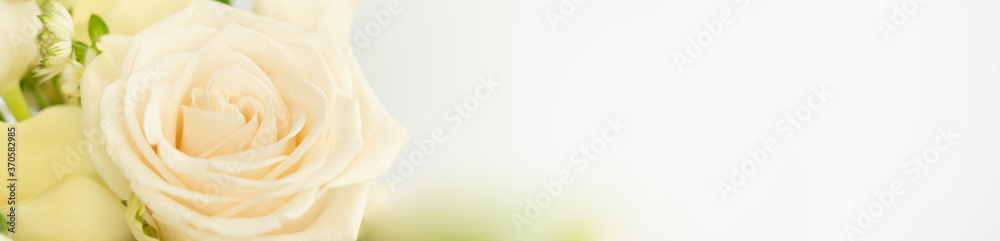 Nature of rose flower in garden using as cover page background natural flora wallpaper or template brochure landing page design Nature of rose flower in garden using as cover page background natural flora wallpaper or template brochure landing page design
