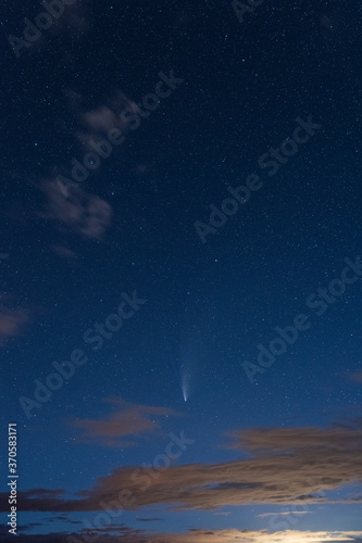 Fototapeta Naklejka Na Ścianę i Meble -  Comet NEOWISE C/2020 F3 in the night sky 