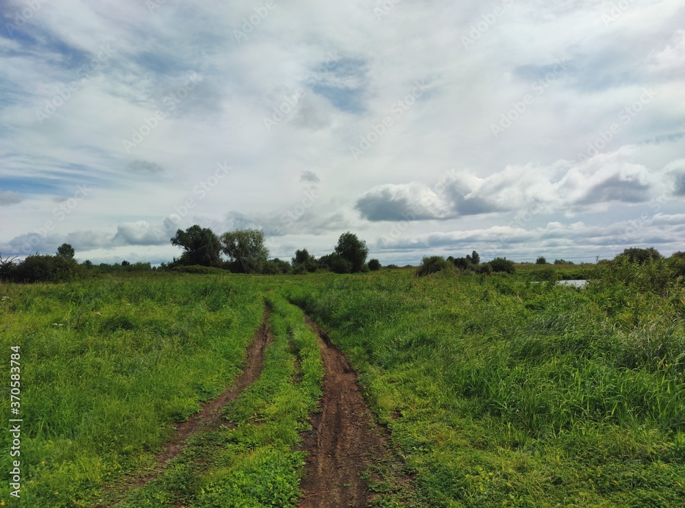 country road in a field among green grass against a background of cloudy sky
