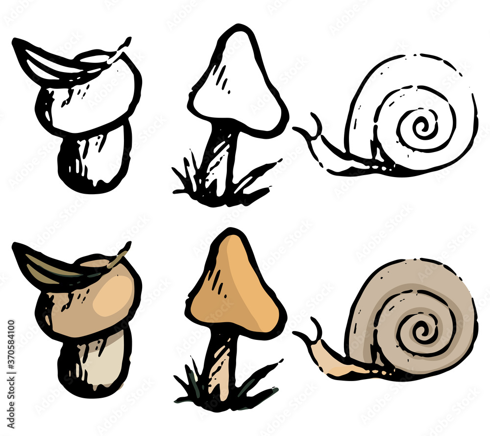 Doodles of small mushrooms and snail. Realistic sketch of autumn harvest elements. Hand drawn vector botanical illustration. Сontour and color drawing isolated on white for design, decor, prints, card Doodles of small mushrooms and snail. Realistic sketch of autumn harvest elements. Hand drawn vector botanical illustration. Сontour and color drawing isolated on white for design, decor, prints, card