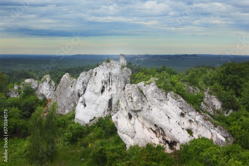 Fototapeta Naklejka Na Ścianę i Meble -  Limestone rock formation at Rzedkowice, Poland