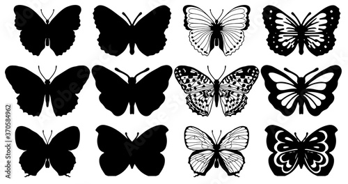 Butterflies carve, shadow and line set, Vector illustration.