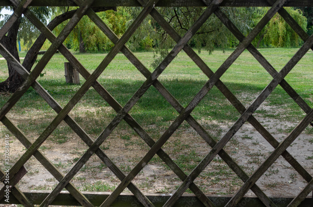Fototapeta premium metal fence with green leaves