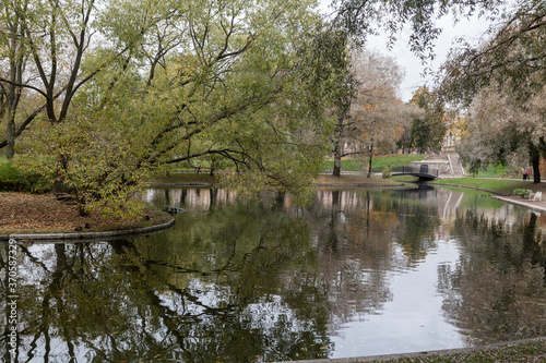 Autumn park with small pond landscape