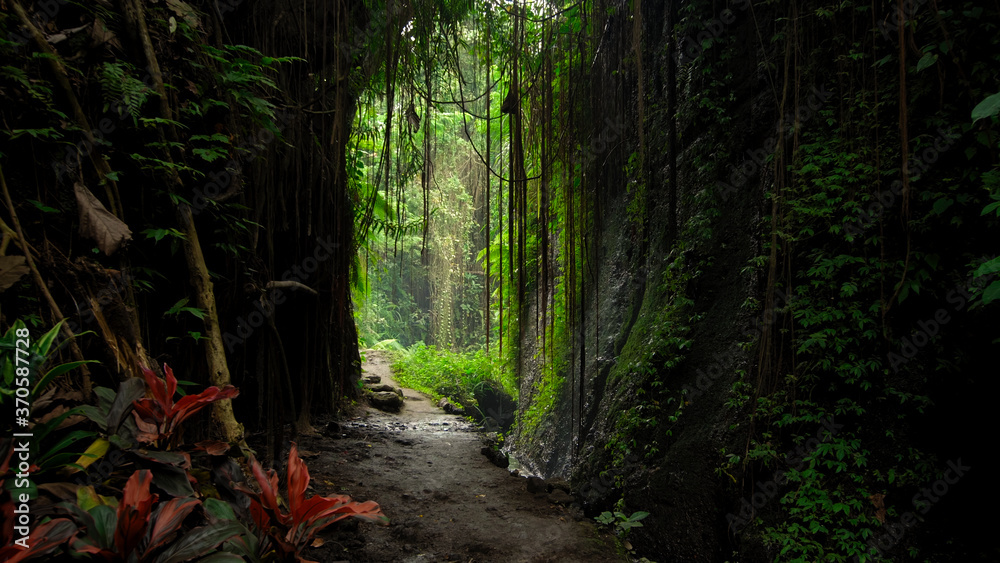 cliff on a mountain with the rocks view with green trees in the jungle