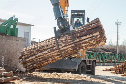 Claw of an industrial loader of logs at a sawmill