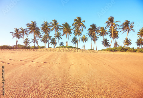 Tropical beach with coconut palm trees at sunset  color toning applied.