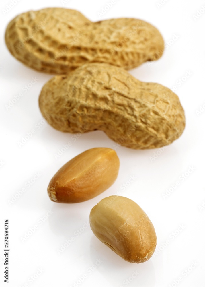Peanuts, arachis hypogaea, Fruits against White Background Peanuts, arachis hypogaea, Fruits against White Background