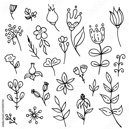 Set of hand-drawn plants. Doodle images of a flower. Floral vector for web, textiles, postcards, prints. Abstract plants, leaves, flowers.