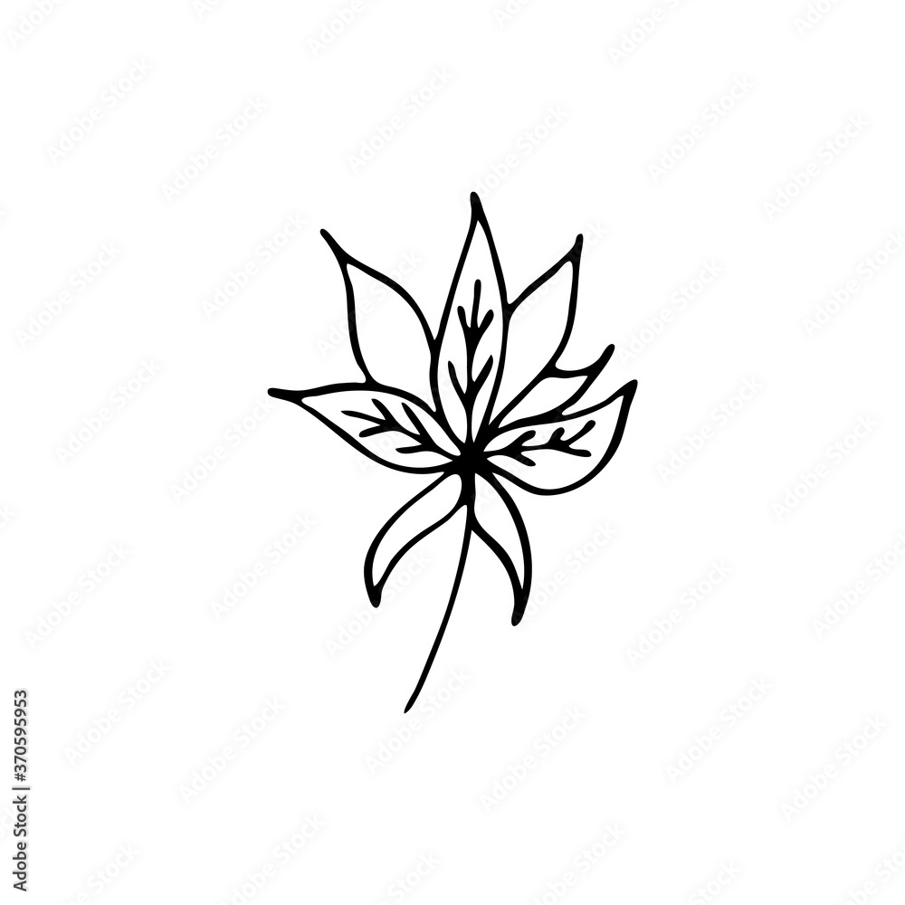 Hand-drawn plant. Doodle image of a flower. Floral vector for web, textiles, postcards, prints. Abstract plants, leaves, flowers.
Hand-drawn plant. Doodle image of a flower. Floral vector for web, textiles, postcards, prints. Abstract plants, leaves, flowers.