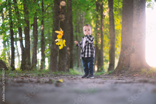 Small boy in checkered shirt in autumn park