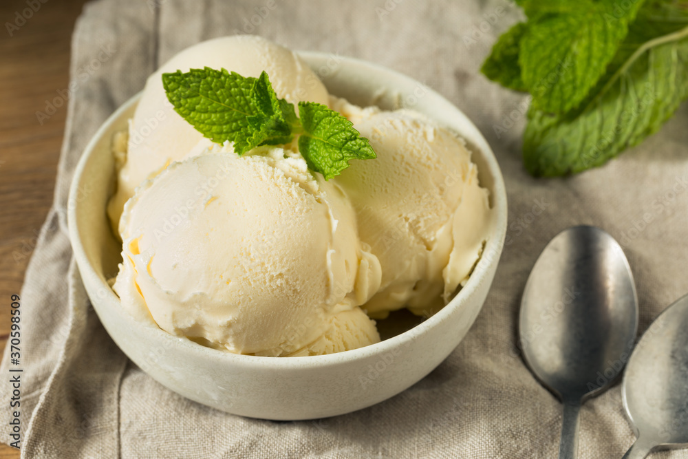 Homemade Frozen Vanilla Ice Cream