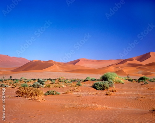 Sossulsvlei Dunes in Namib Desert  Namib Naukluft Park in Namibia