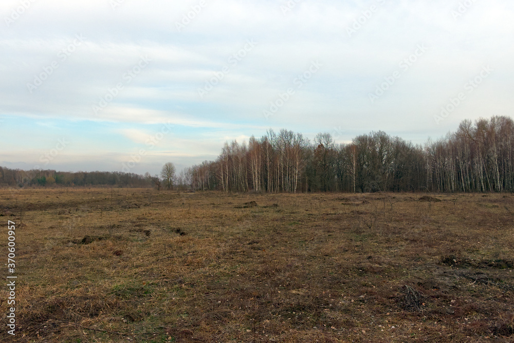 Edge of a leafless forest in March. Bare spring trees. Landscape. Edge of a leafless forest in March. Bare spring trees. Landscape.