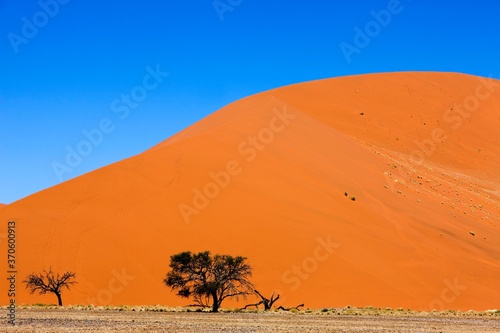 Fototapeta Naklejka Na Ścianę i Meble -  Dune 45, Sossulsvlei Dunes in Namib Desert, Namib Naukluft Park in Namibia