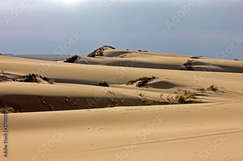 Fototapeta Naklejka Na Ścianę i Meble -  Sand Dunes, Desert near Walvis Bay in Namibia