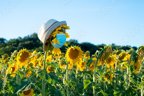 Sunflowers that look like people these days with mask, sunglasses and a hat 