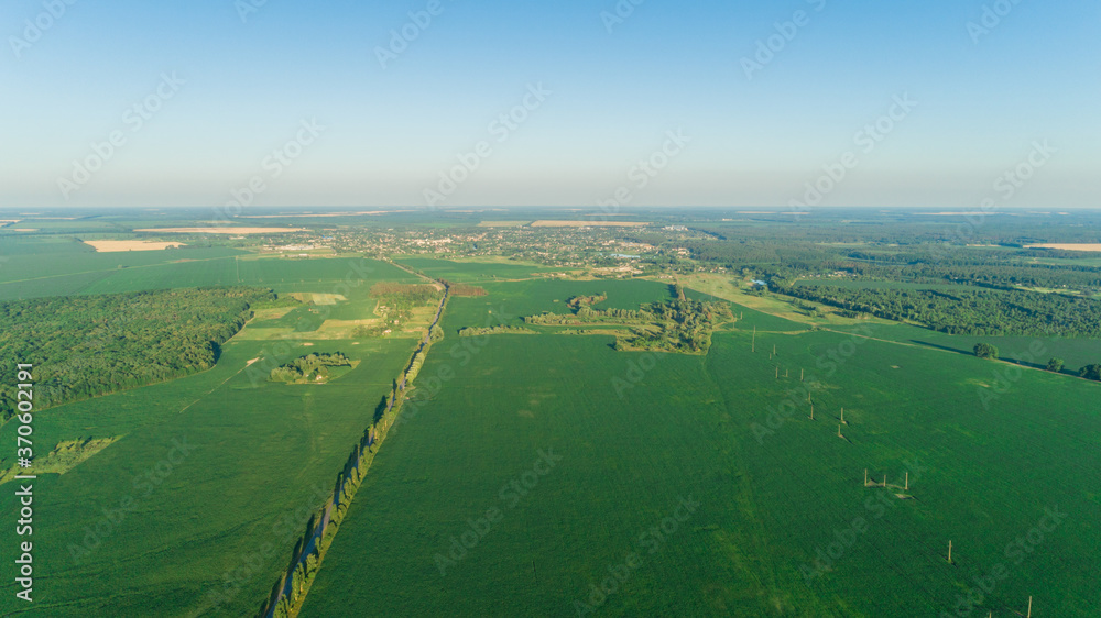Beautiful aerial drone view agricultural green corn field, forest, village, trees, blue sky, road at summer sunset