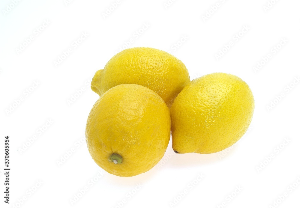 Yellow Lemon, citrus limonum, Fruits against White Background Yellow Lemon, citrus limonum, Fruits against White Background