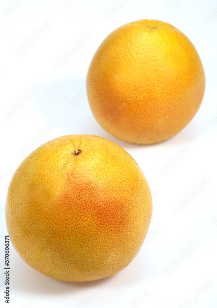 POMELO, citrus paradisi, Fruits against White Background POMELO, citrus paradisi, Fruits against White Background