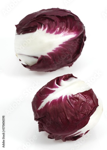 Trevise Salad, cichorium intybus against White Background photo