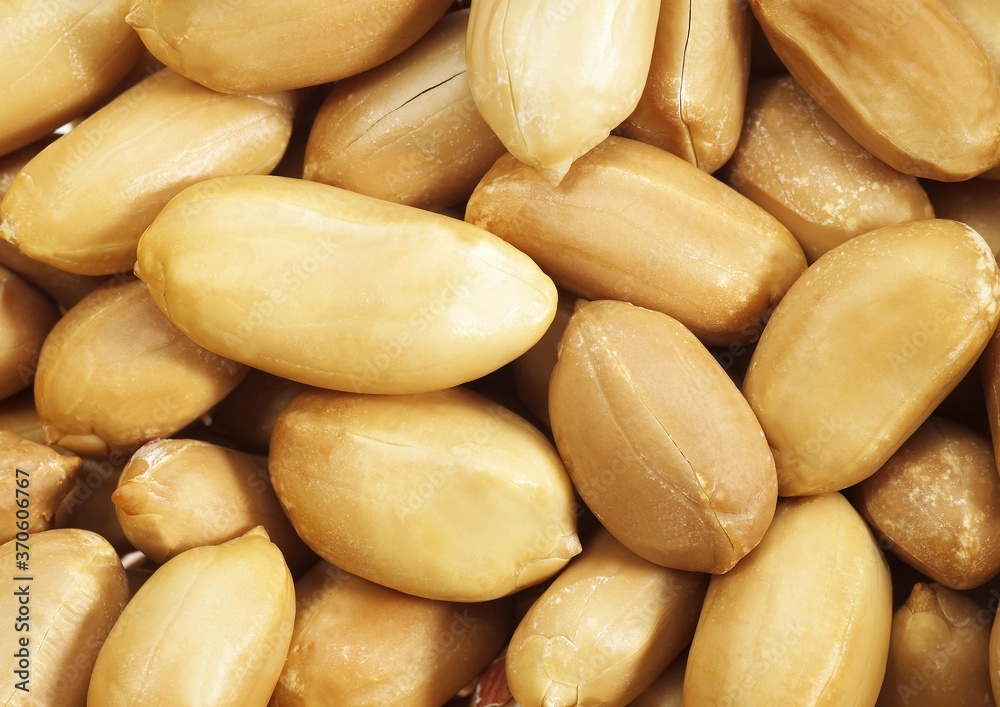 Peanuts, arachis hypogaea Peanuts, arachis hypogaea