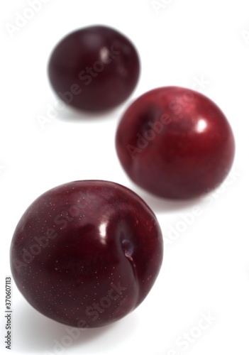 Red Plums, prunus domestica, Fruits against White Background