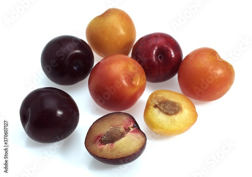 Red and Yellow Plums, prunus domestica, Fruits against White Background