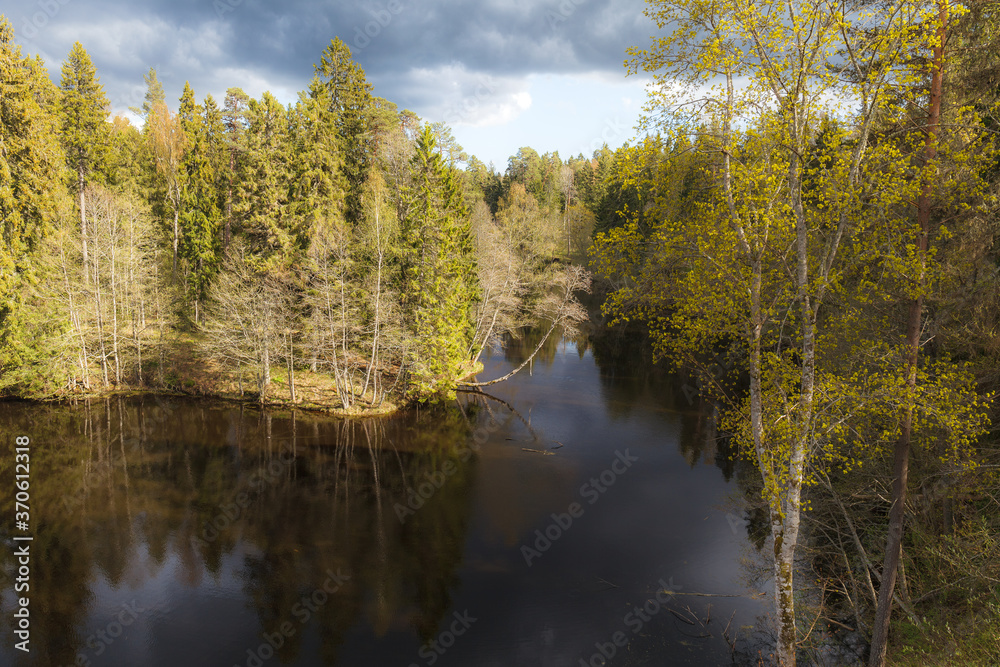 Fototapeta premium Reflections of the forest on a lake. Sunset time.