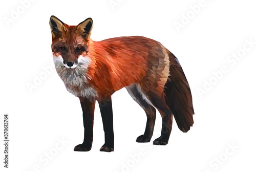 Low Poly illustration of a Red Fox body isolated