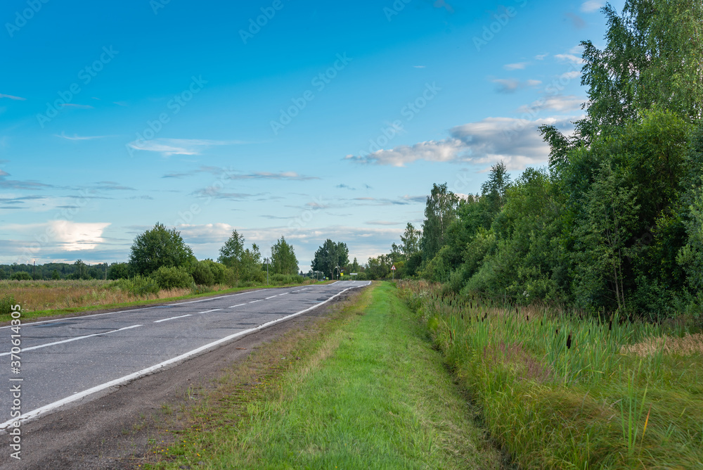 Suburb road among the forest, leading into the distance.