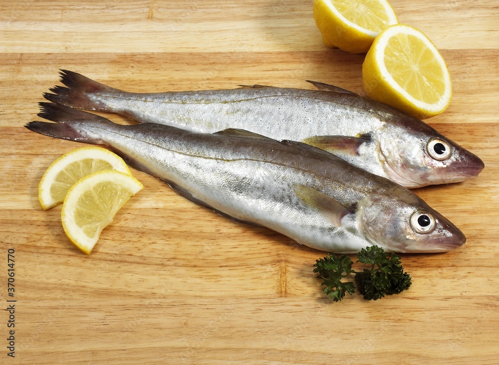 Fresh Whiting, merlangius merlangus, Fishes with Lemon and Parsley Fresh Whiting, merlangius merlangus, Fishes with Lemon and Parsley