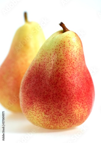 Rosemary Pear, pyrus communis, Fresh Fruits against White Background