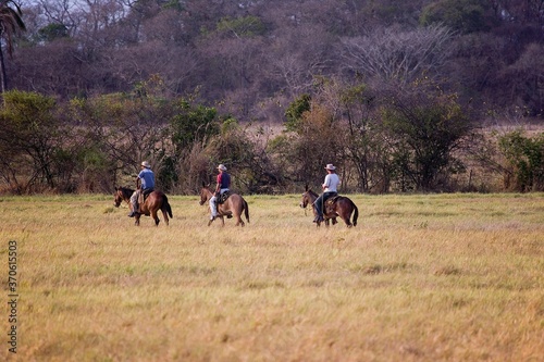 Horse Riding, Los Lianos in Venezuela