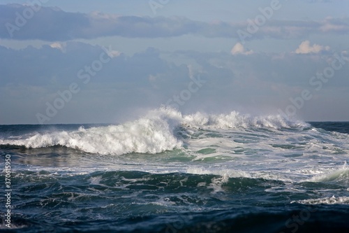 Waves, Coast at Hermanus in South Africa