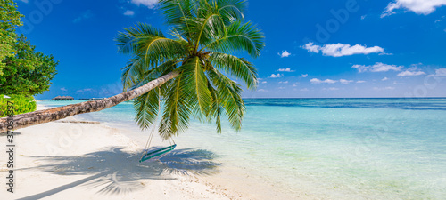 Tropical beach background as summer landscape panorama with beach swing or hammock and white sand and calm sea beach banner. Perfect beach scene vacation or summer holiday concept © icemanphotos