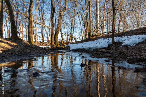 Flooded trees and frozen water in the floodplain of the river at the thaws.