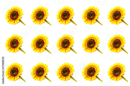 Fototapeta Naklejka Na Ścianę i Meble -  Pattern from bright Sunflower on white background. Creative Summer Composition.