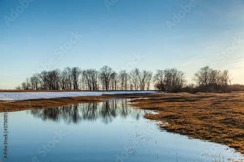 Obraz na płótnie Flooded trees and frozen water in the floodplain of the river at the thaws. w salonie